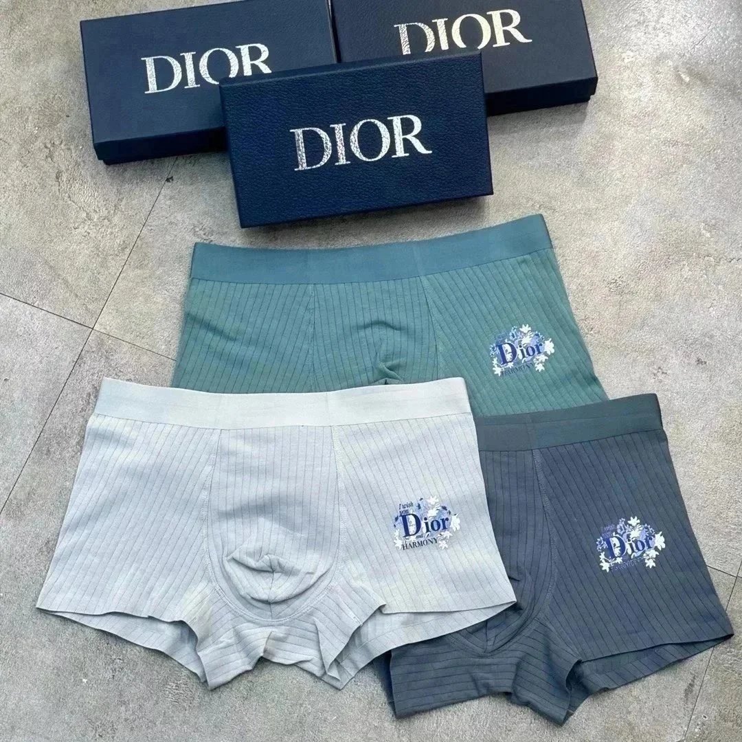 Dior Men's Underwear Collection