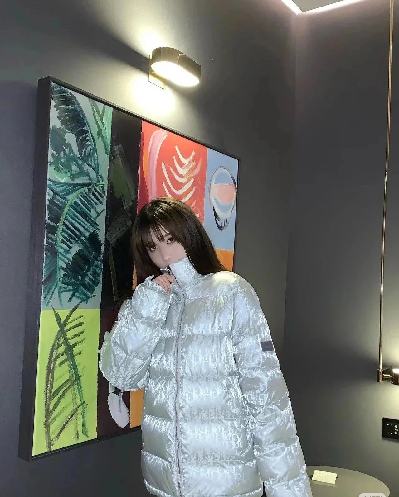 Dior Down Jacket Oblique Series