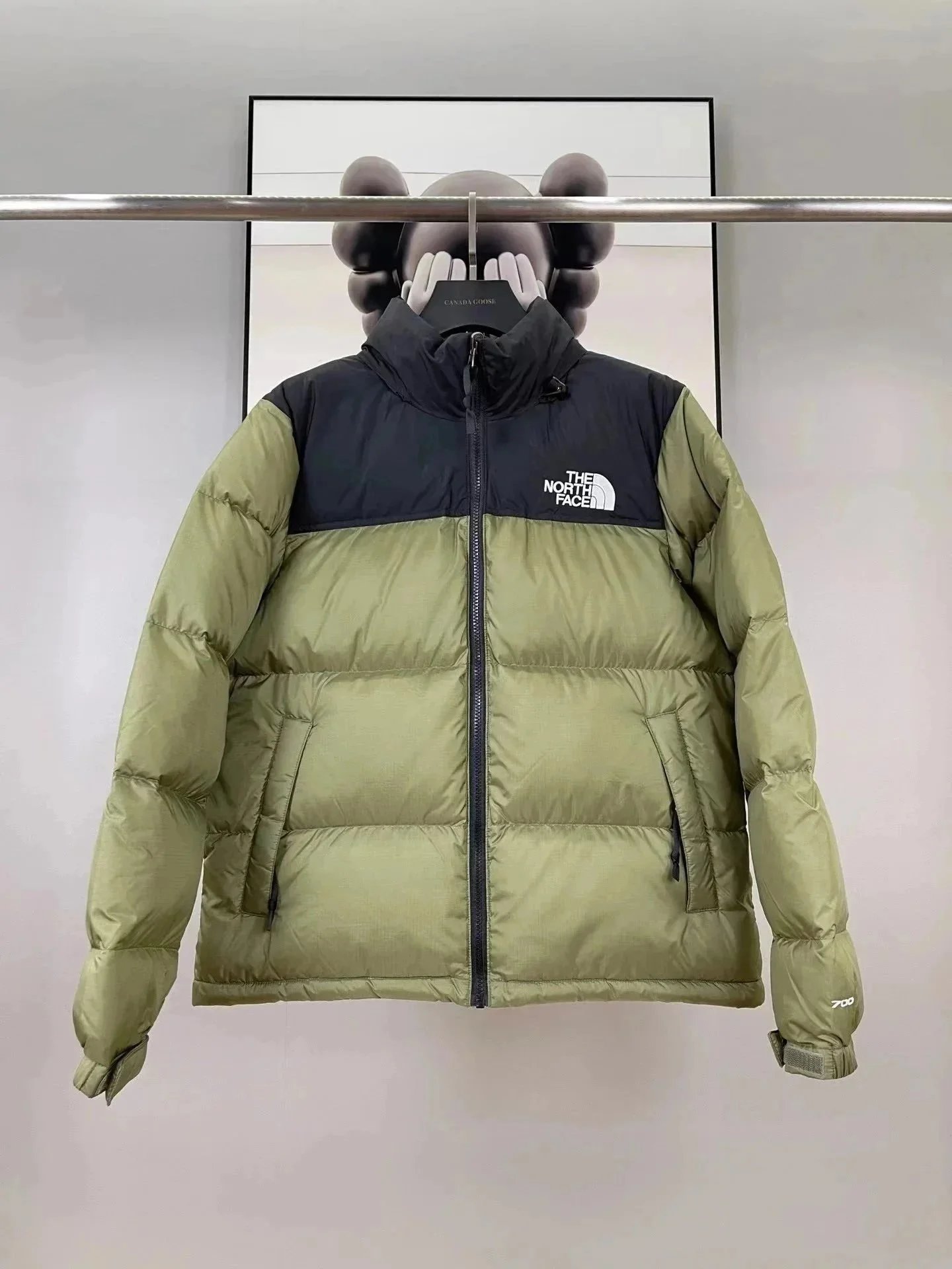 The North Face Down Jacket Nuptse Series