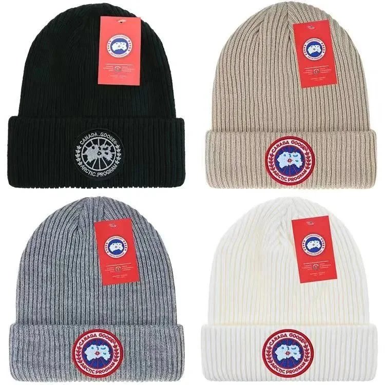 The North Face Beanies Classic Series