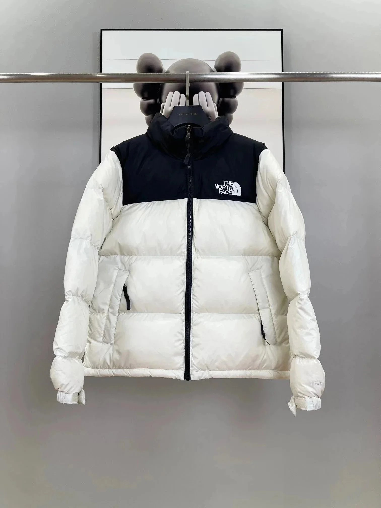 The North Face Down Jacket Nuptse