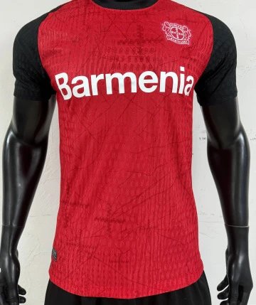 24-25勒沃库森主场