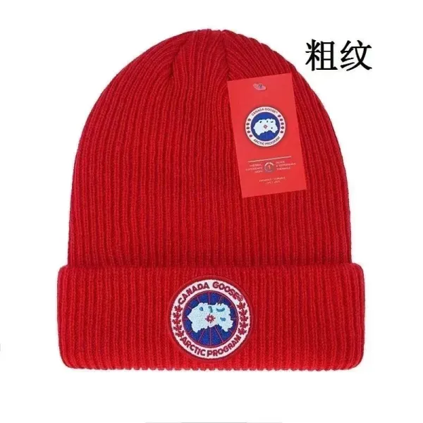 Canada Goose Arctic Program Beanie Red - 1
