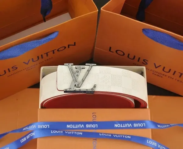 Louis Vuitton Damier Graphite Belt with Interchangeable LV Buckles Gray Belt - 5