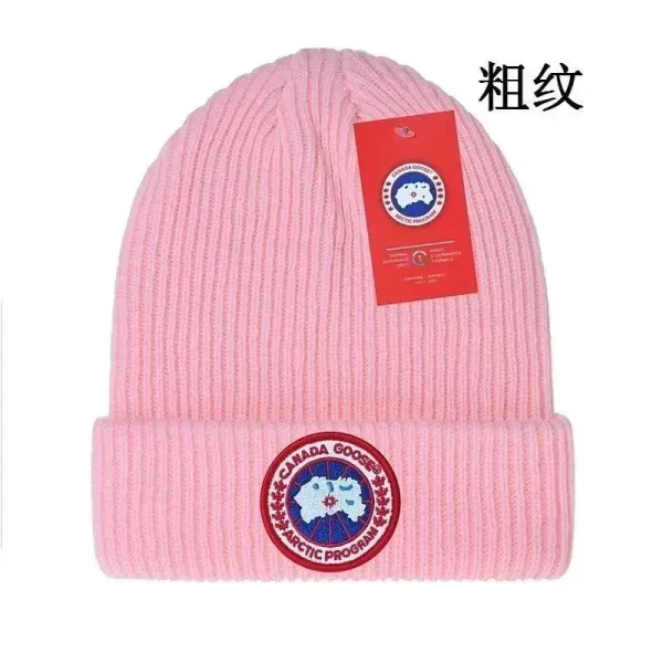 Canada Goose Arctic Program Beanie Pink - 1