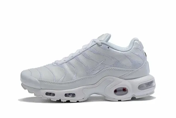 Nike Air Max Plus Navy Blue Sneakers - 22