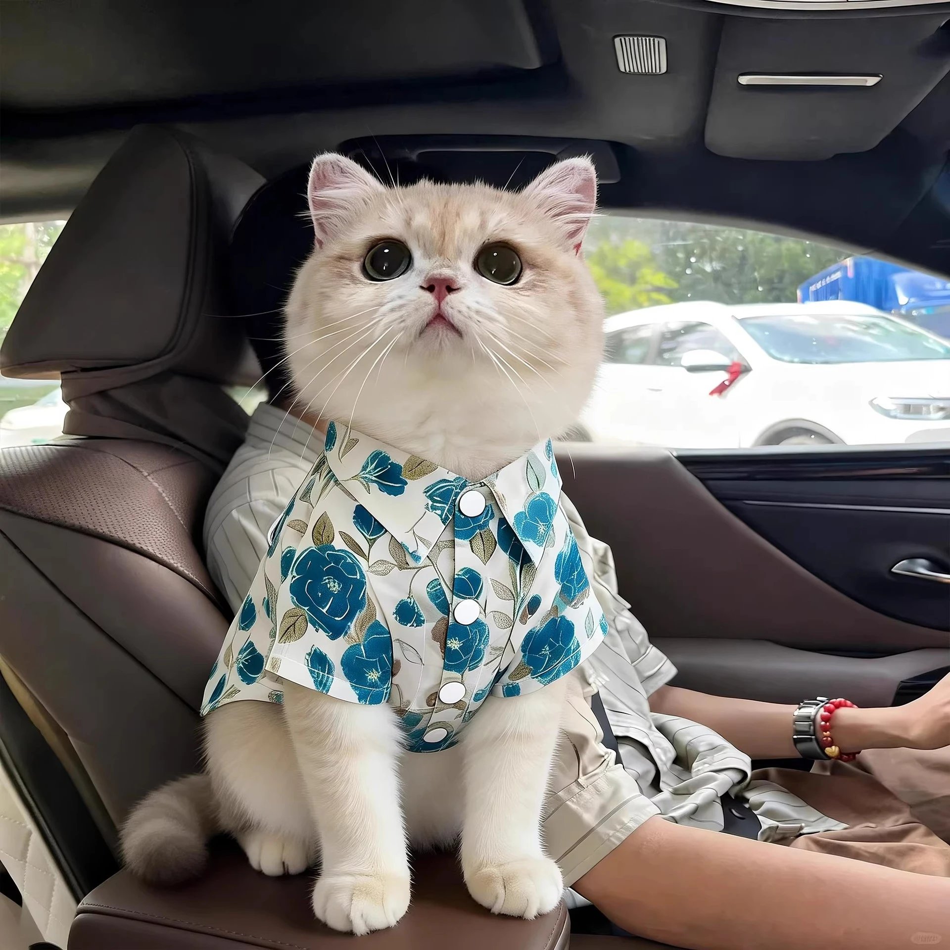 Floral Cat Shirt Lightweight