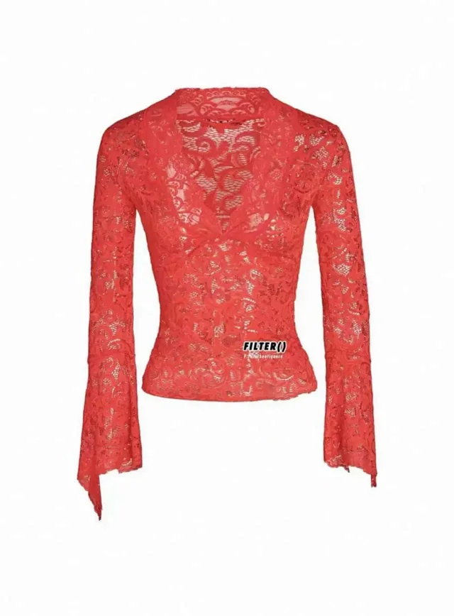 Unbranded Shirts Sheer lace V-neck top with flared sleeves product detail image 10