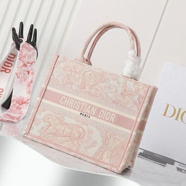 Christian Dior Book Tote Bag [