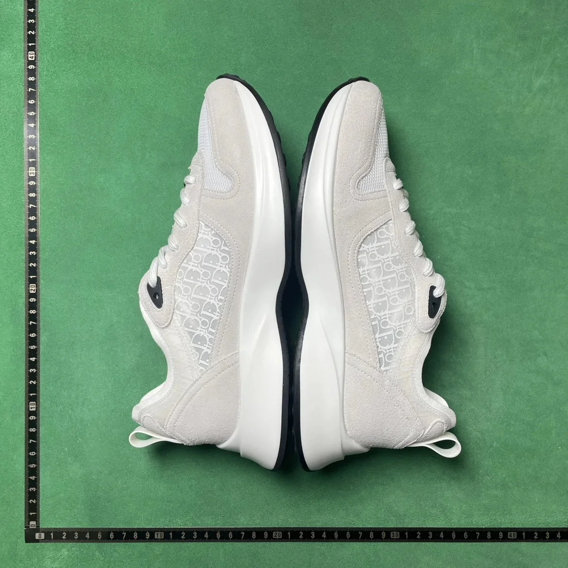 Dior sneakers
