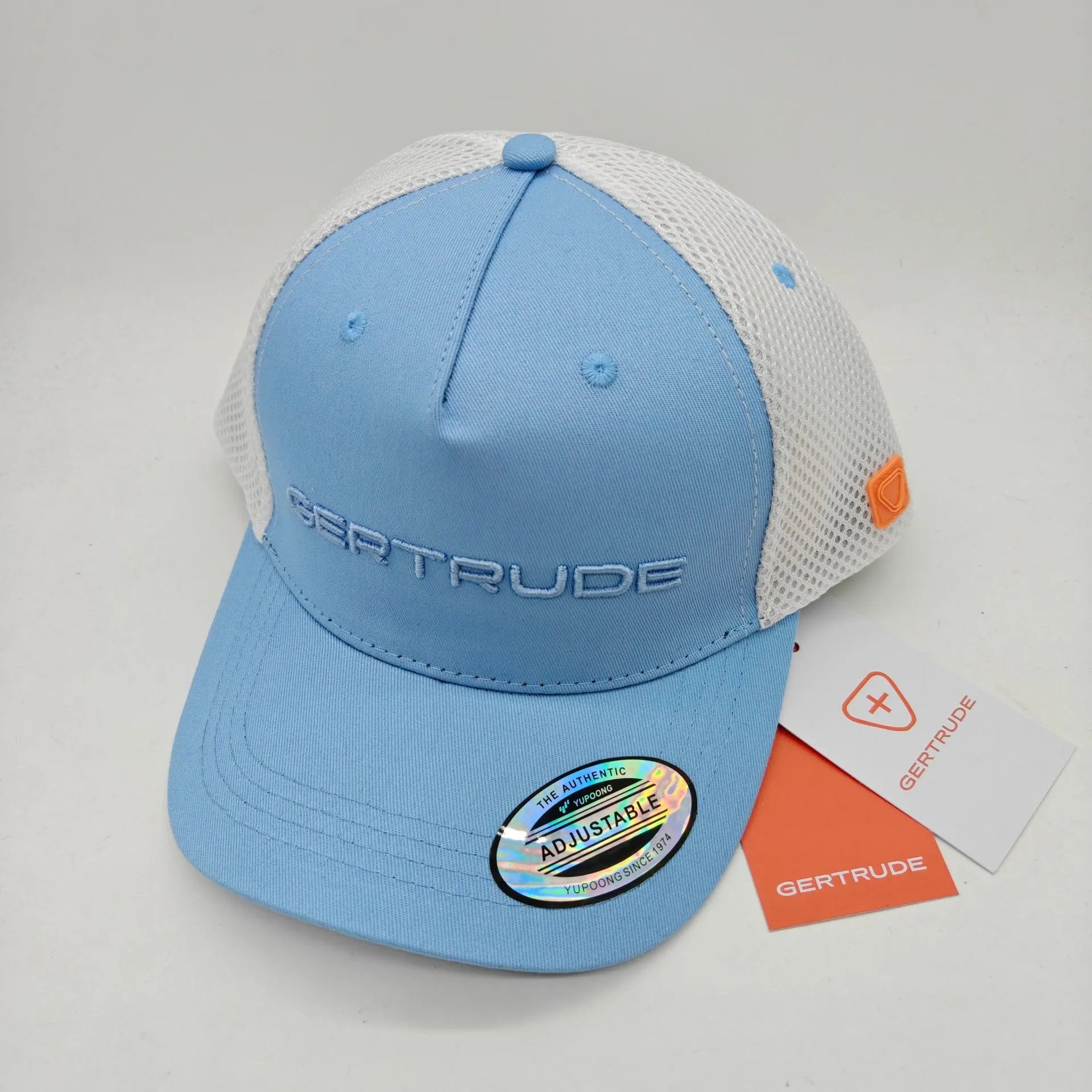 Sky Blue Embroidered