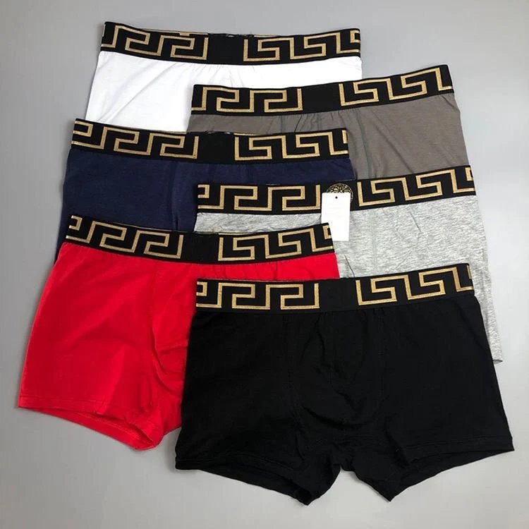 Versace Greek Key Waistband Boxer Brief Gray Underwear - 5