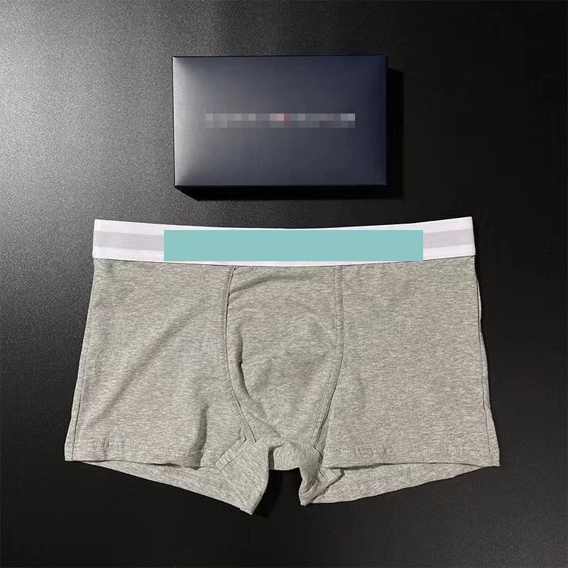 Design Boxed Boxer Brief Gray with Mint Waistband Underwear