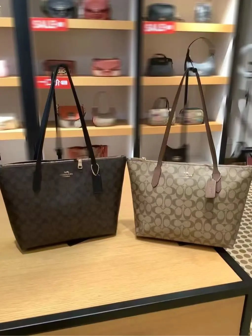 Coach Signature Canvas Tote Bag Beige Tote Bag - 5