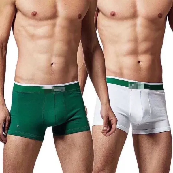 Design LOIG Boxer Briefs Black Green White Underwear - 5