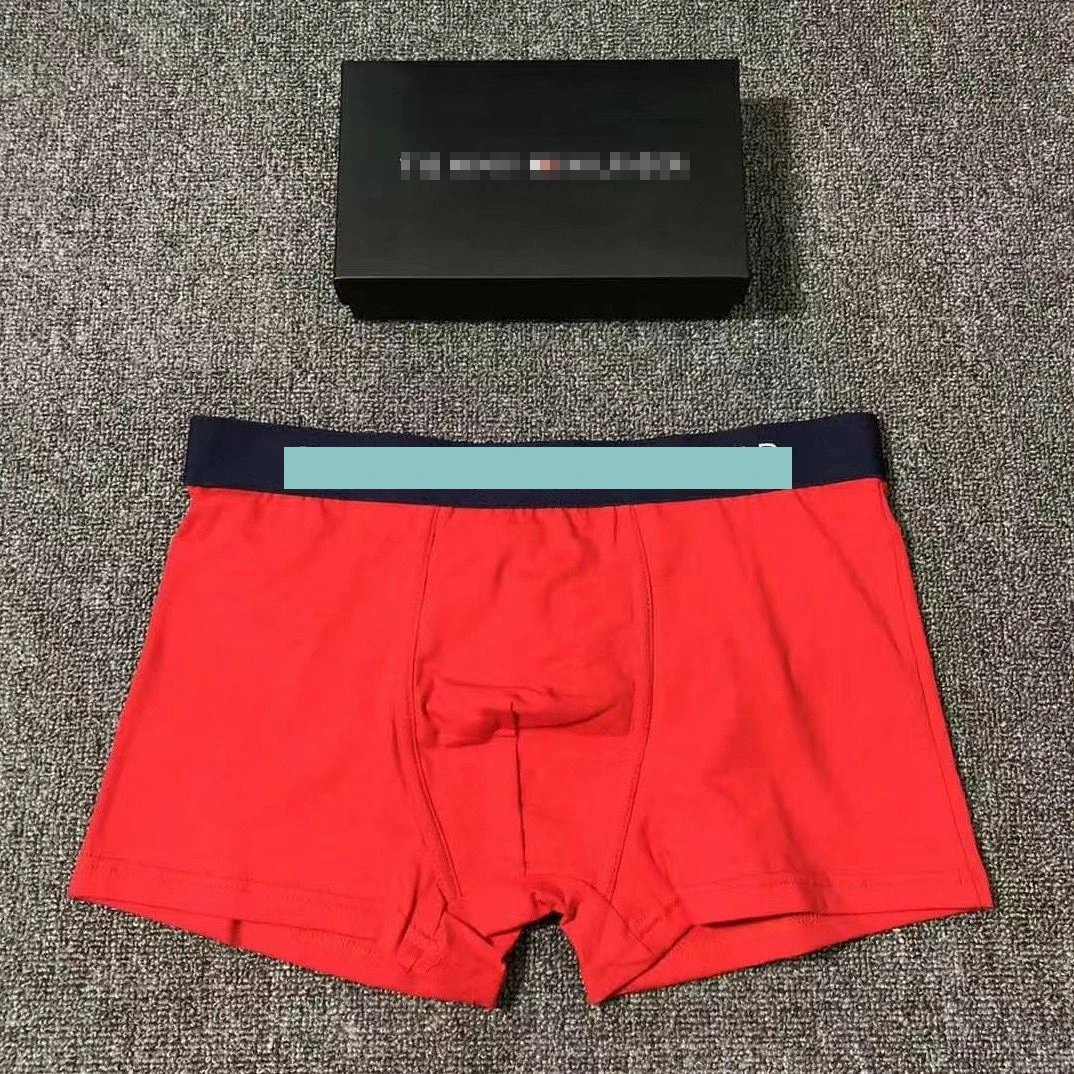 Design Boxed Boxer Brief Gray with Mint Waistband Underwear - 12