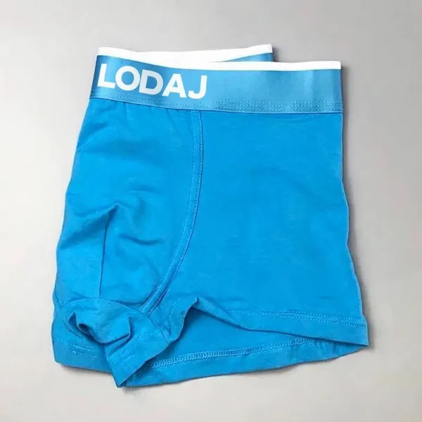 Design LODAJ Boxer Briefs Blue Underwear - 1