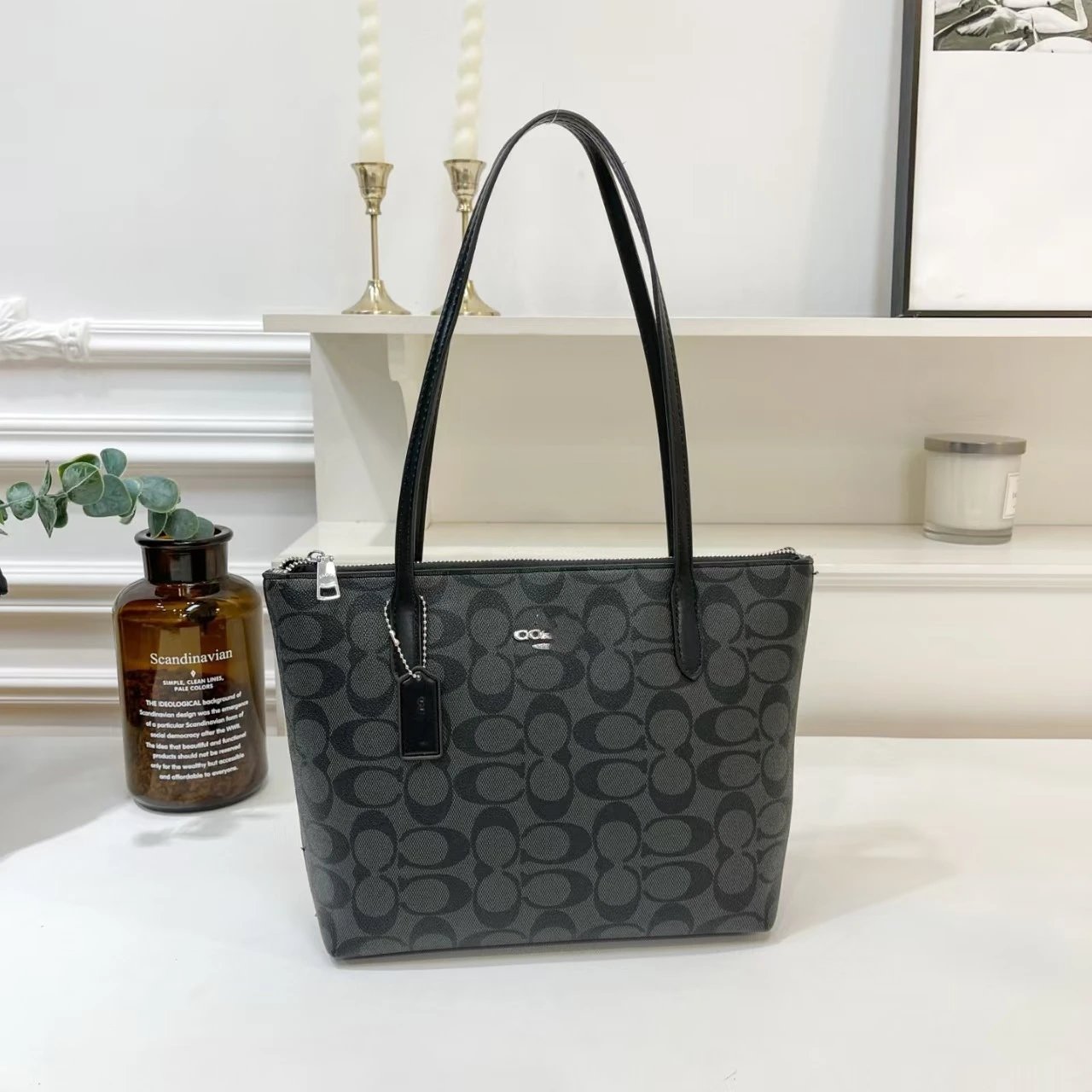Coach Signature Canvas Tote Bag Beige Tote Bag - 11