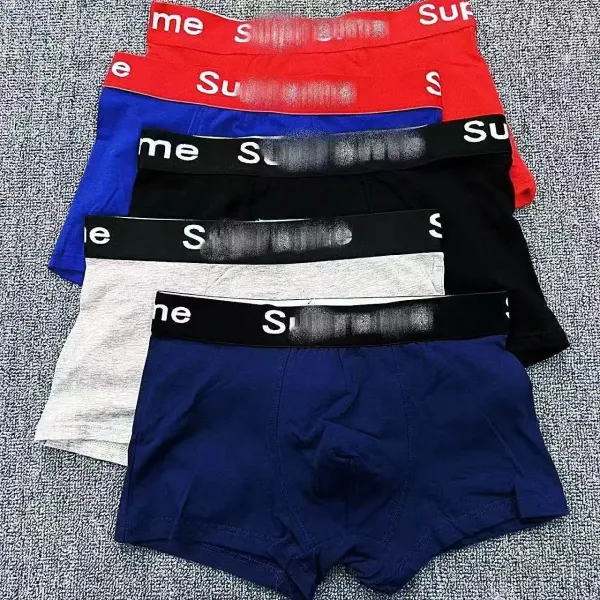 Supreme Box Logo Briefs Assorted Colors Underwear - 3