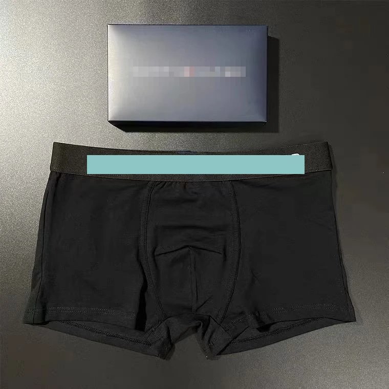 Design Boxed Boxer Brief Gray with Mint Waistband Underwear - 10
