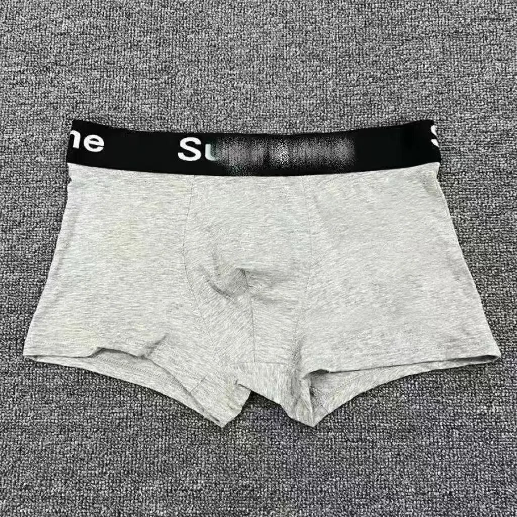 Supreme Box Logo Briefs Gray Underwear - 1