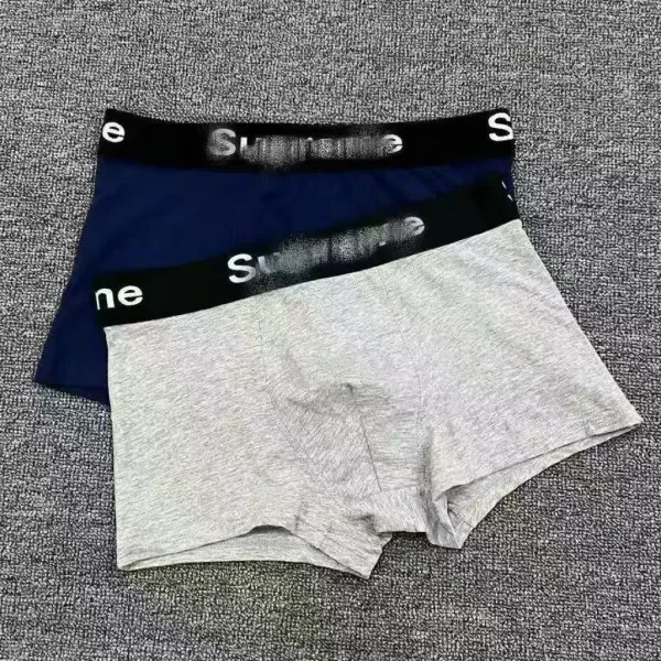 Supreme Box Logo Briefs Assorted Colors Underwear - 5