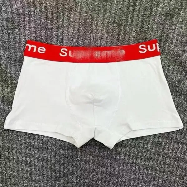 Supreme Box Logo Briefs Assorted Colors Underwear - 10