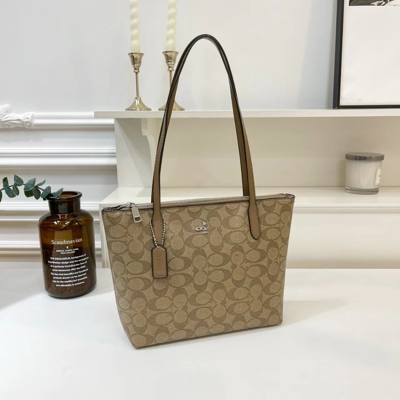 Coach Signature Canvas Tote Bag Beige Tote Bag - 10