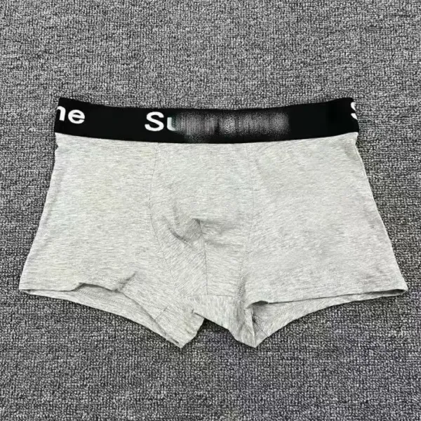Supreme Box Logo Briefs Assorted Colors Underwear - 8