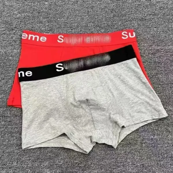 Supreme Box Logo Briefs Assorted Colors Underwear - 14