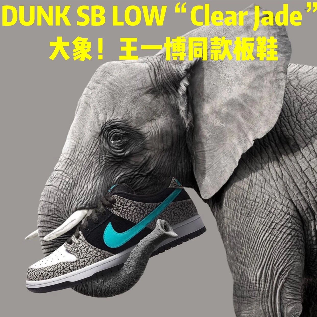 Dunk SB LOW Elephant