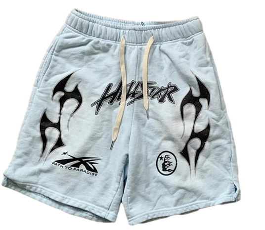 The North Face Shorts