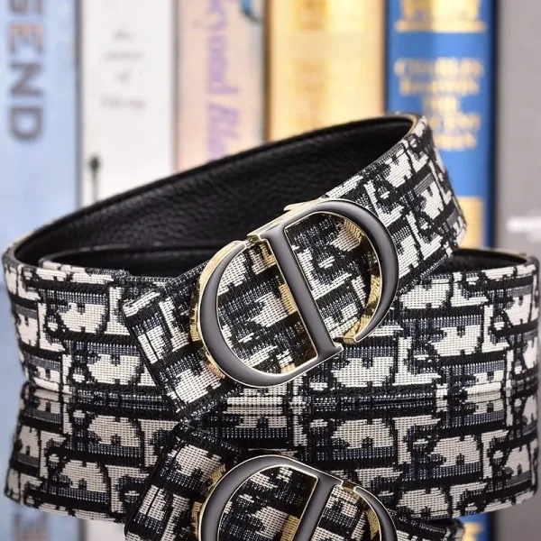 Dior Oblique Canvas Belt Gray - 4