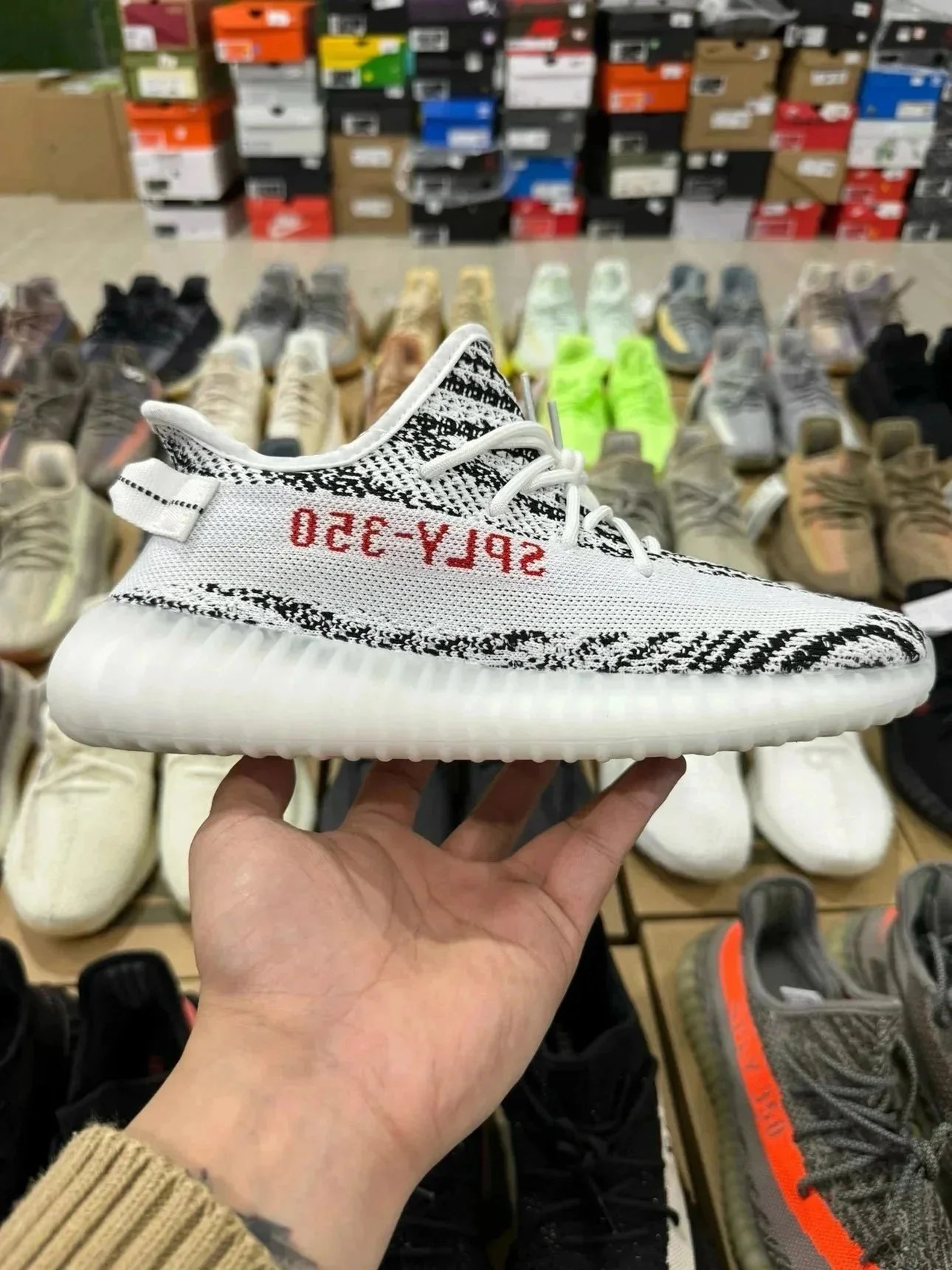 Yeezy 350