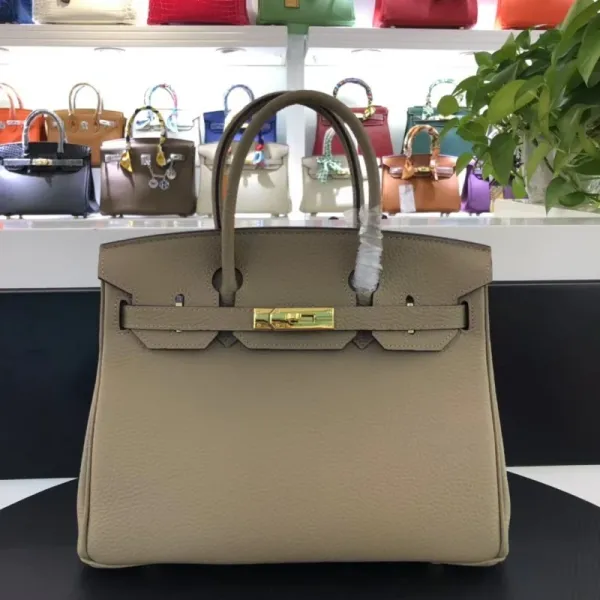 Hermès Birkin 25cm Togo Leather Gold Hardware Handbag - 5