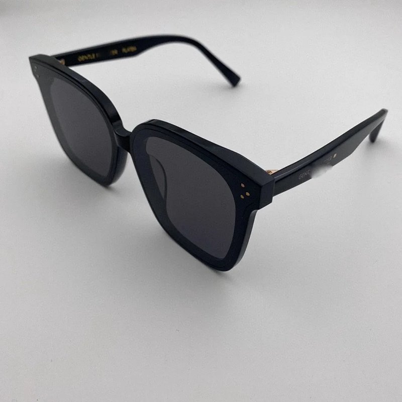 Gentle Monster x Zeiss Sunglasses Transparent Gray Frame Black