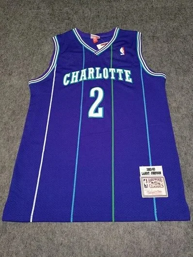 Mitchell & Ness Charlotte Hornets pinstripe basketball jersey product detail image 1