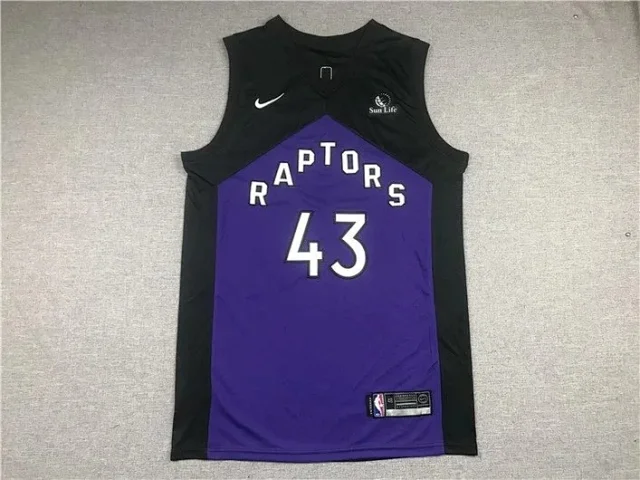 Jordan Toronto Raptors basketball jerseys product detail image 10