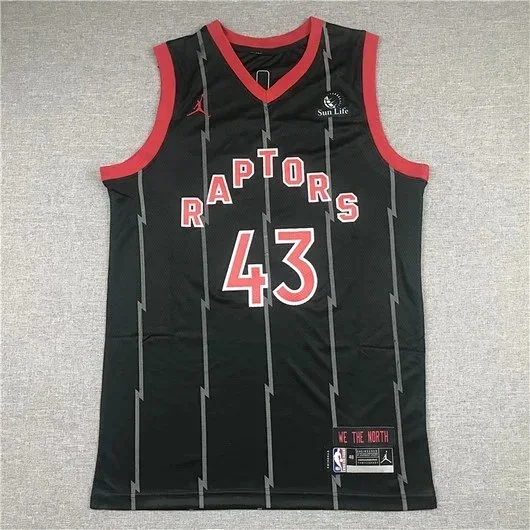 Jordan Toronto Raptors basketball jerseys product detail image 4