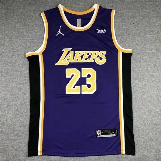 Nike Los Angeles Lakers Basketball Jersey with Number Print — 29