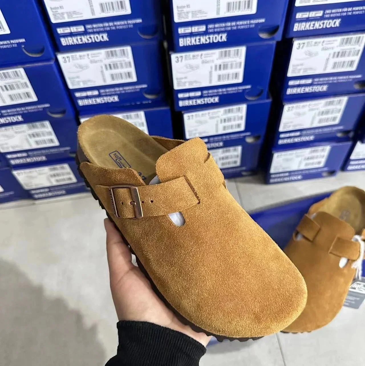 Baotou chestnut color