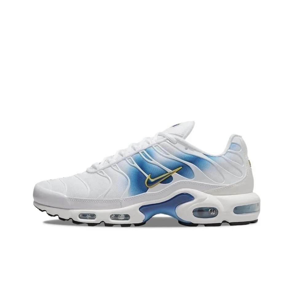 DX8962-100/White Blue