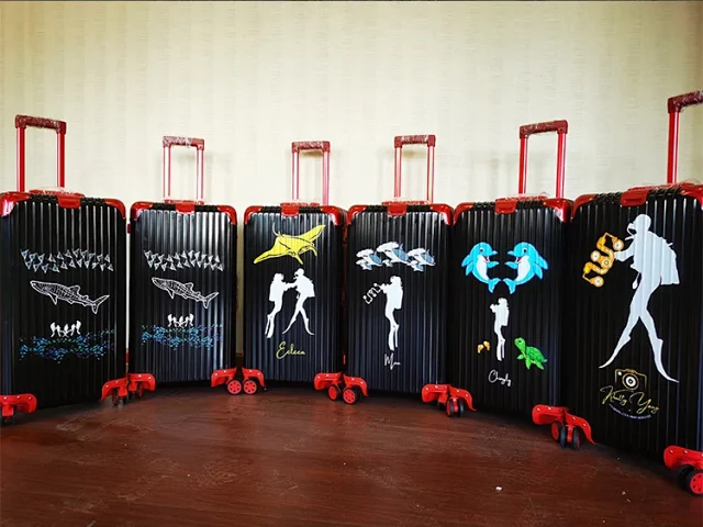 Unbranded Travel Bags Hard-shell ribbed spinner trolley suitcase product detail image 10
