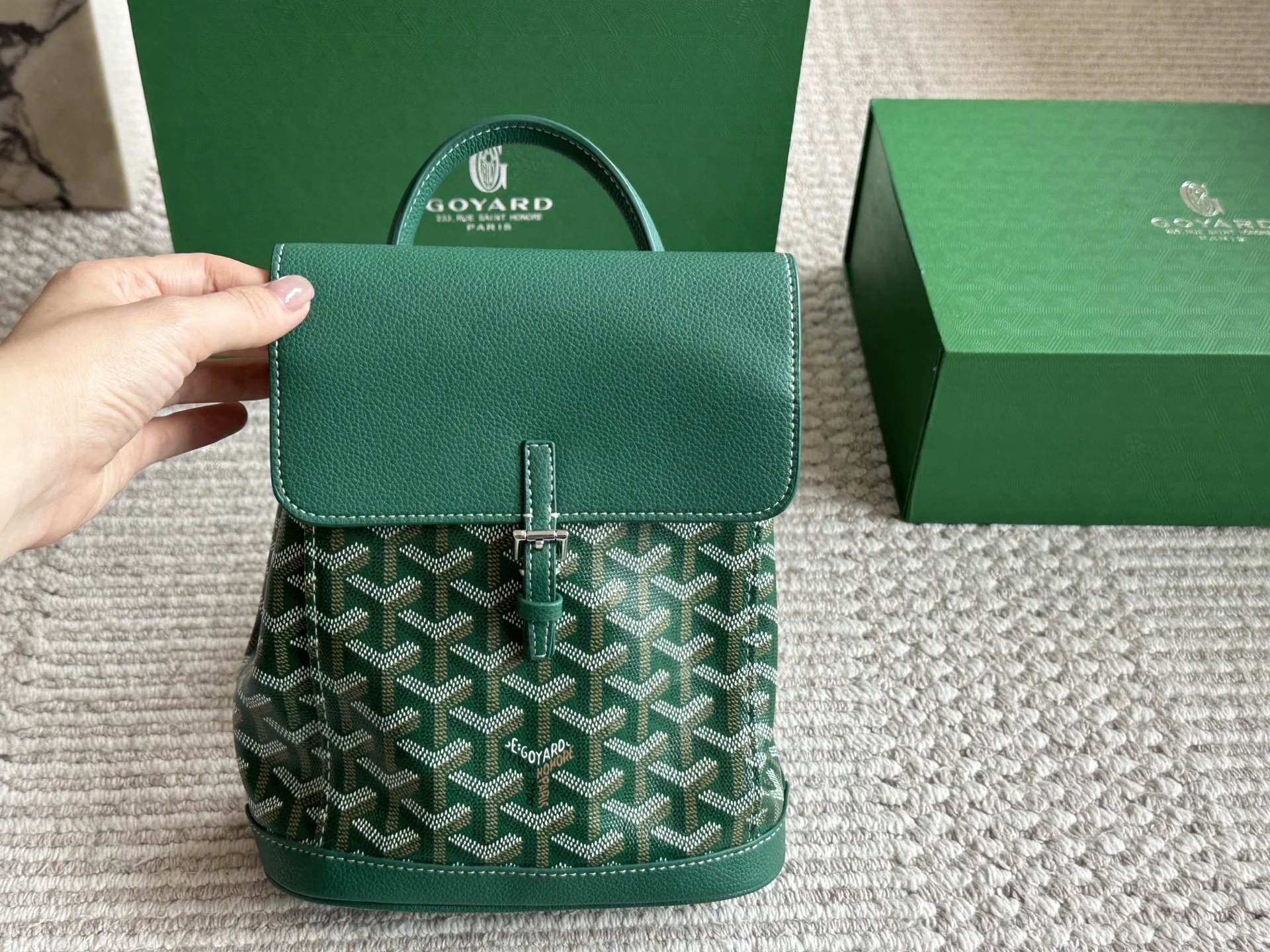 Goyard Backpacks Alpin Mini Backpack — Green