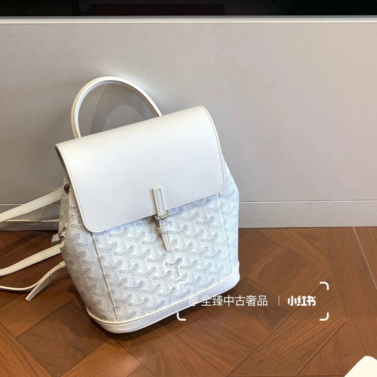 Goyard Backpacks Alpin Mini Backpack image 2
