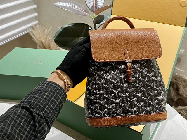 Goyard Backpacks Alpin Mini Backpack product detail image 1