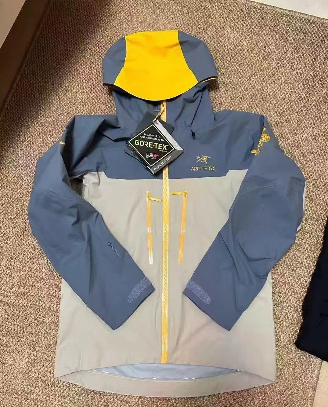 Arc'teryx Jackets Hooded color-block shell jacket with zip pockets — Year of the Snake Limited Golden Python