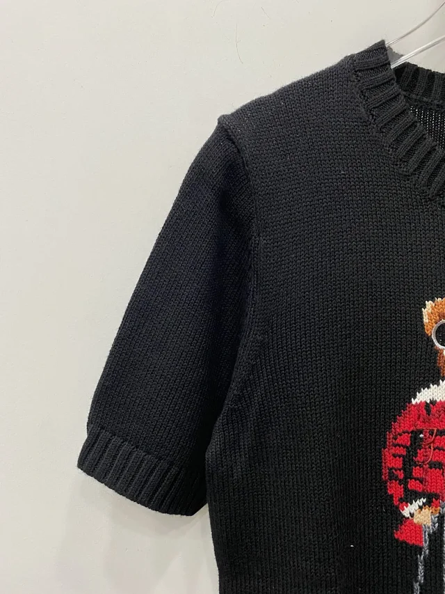 Polo Ralph Lauren Knitwear Crewneck knit sweater with bear or flag motif product detail image 40