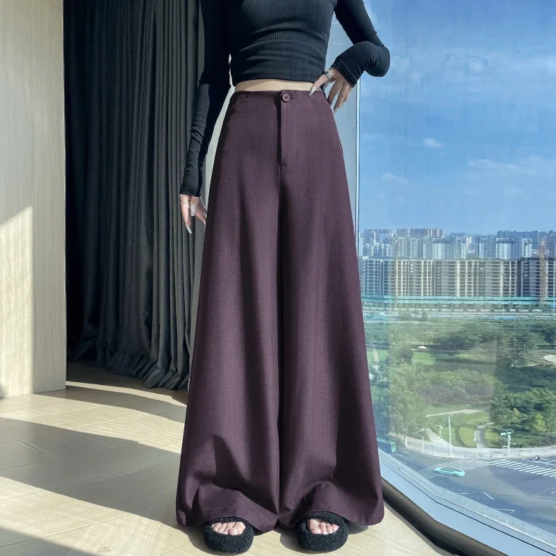 Women's 2025 Autumn Gray Wide - leg Pants