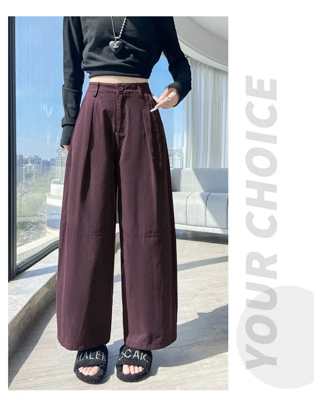 2025 Early Fall Korean Wide - leg Pants Detail